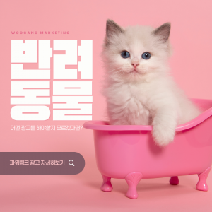 우강마케팅 전체 기초광고 파워링크 세팅[반려동물미용]